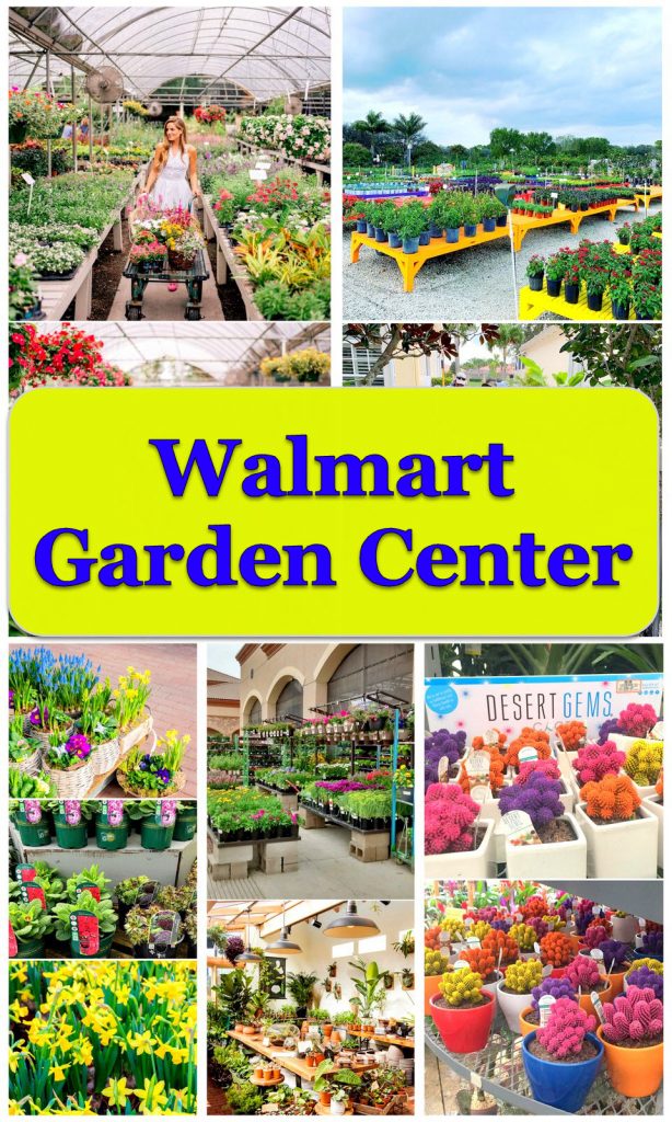 20+ Ideas Of Walmart Garden Center For Your Dream Gardening