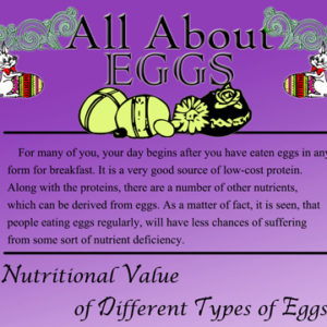 All About Eggs