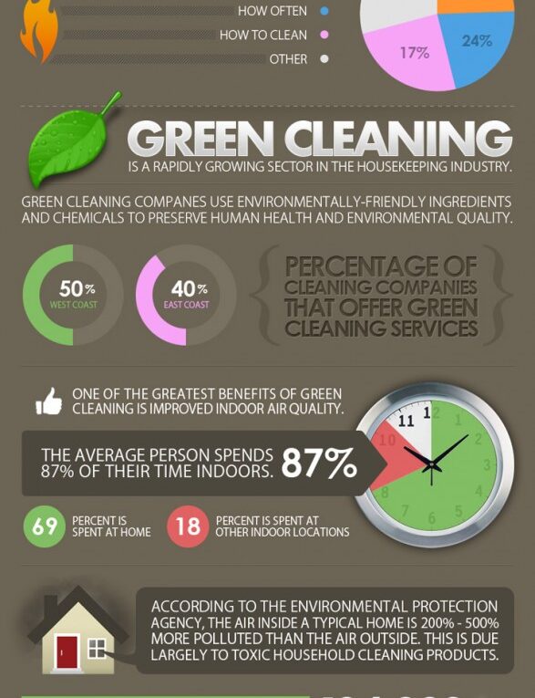 House Cleaning Facts