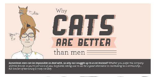 Why Cats are Better than Men?