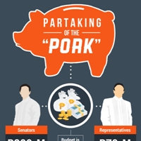 How NGOs get their Hands on the Pork Barrel