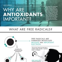 Why Are Antioxidants Important?