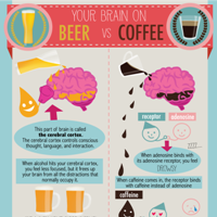 Your Brain On Beer Vs Coffee (Infographic)