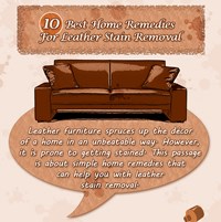 10 Best Home Remedies For Leather Stain Removal (Infographic)