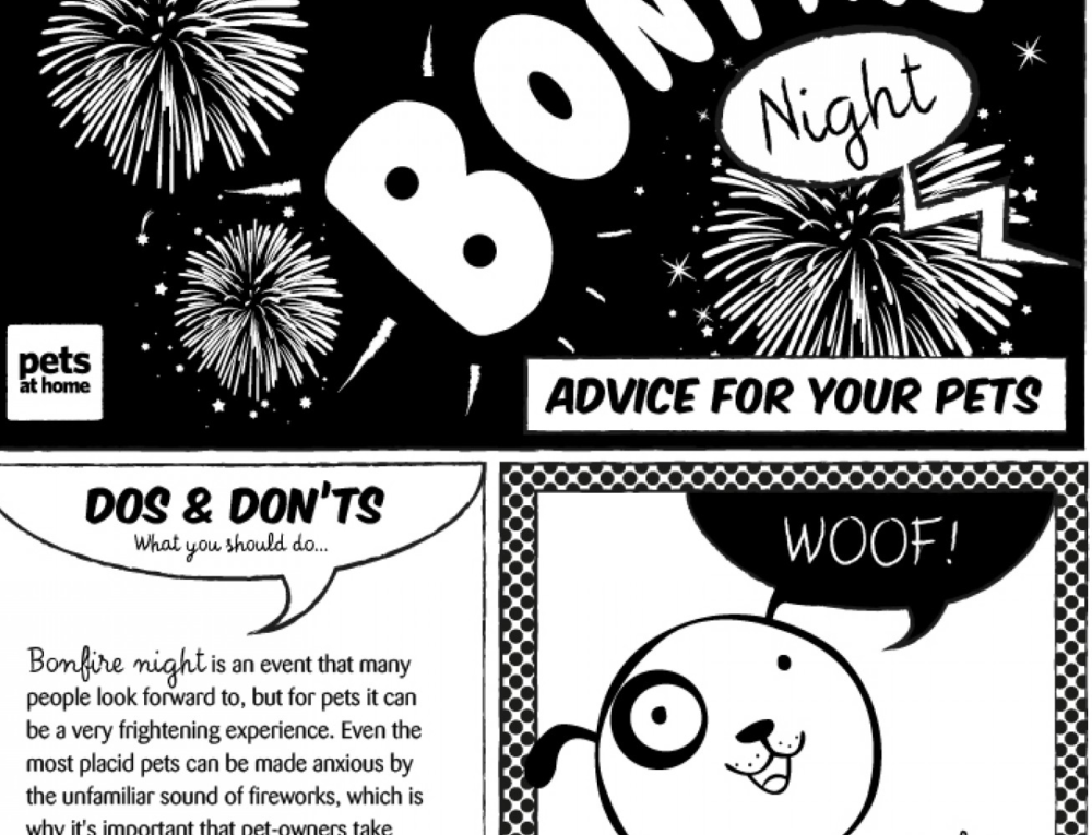 Bonfire Night: Advice for Your Pets (Infographic)