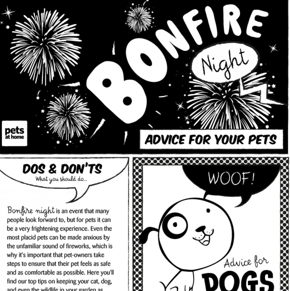Bonfire Night: Advice for Your Pets (Infographic)