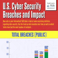 U.S. Cyber Security Breaches and Impact (Infographic)