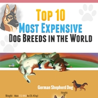 Top 10 Most Expensive Dog Breeds in the World (Infographic)