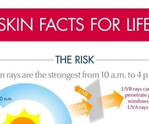 Facts About The Sun and Skin Cancer Infographic