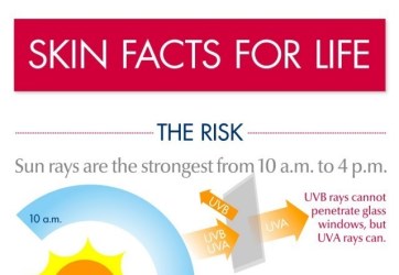 Facts About The Sun and Skin Cancer Infographic