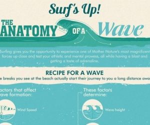 Surf’s Up! The Anatomy of a Wave