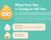 What Your Pee is Trying to Tell You? (Infographic)