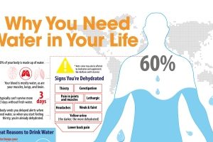 Why You Need Water In Your Body? (Infographic)