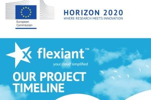 Flexiant Research Infographic | FP7