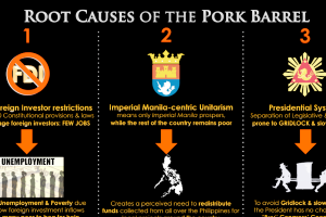 Solutions to the Roots of the Pork Barrel (Infographic)