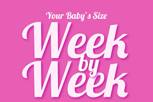 Your Baby’s Size Week by Week