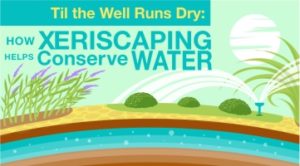 Til the Well Runs Dry: How Xeriscaping Helps Conserve Water