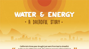 The Secret To Saving Your Wallet While Saving The World!