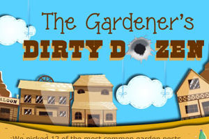 How To Get Rid Of Garden Pests Without Pesticides