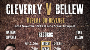 Nathan Cleverly vs Tony Bellew Fight Statistics