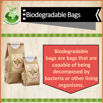 Infographic of Biodegradable Bags