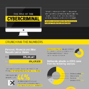 The Rise of The Cyber Criminal