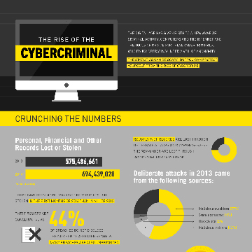 The Rise of The Cyber Criminal
