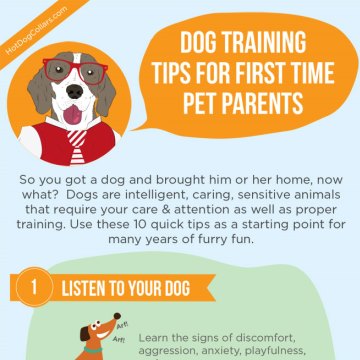 First Time Pet Parents Dog Training Tips