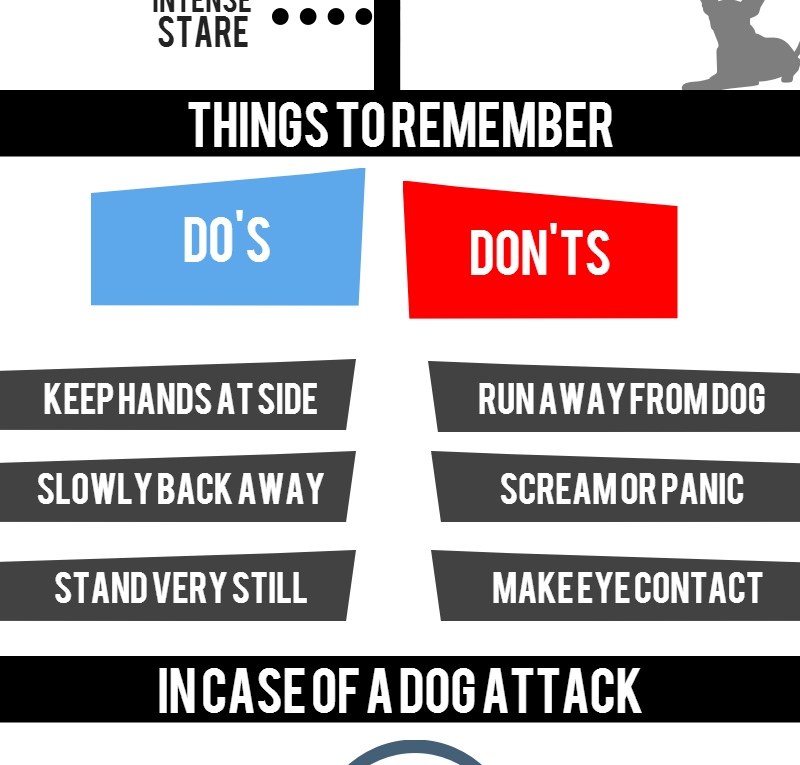 Avoid Dog Attacks