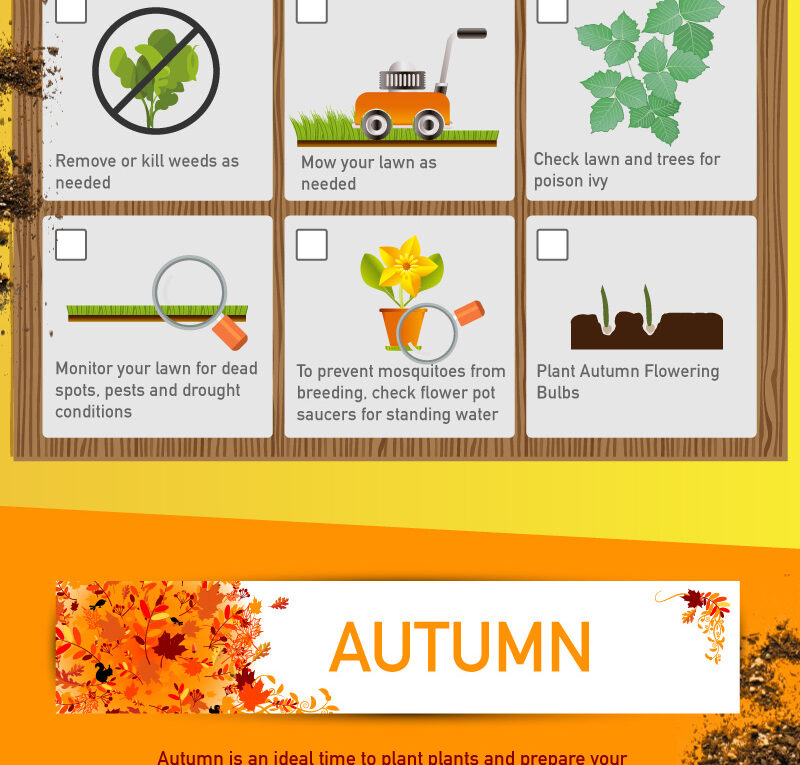 Your Season By Season Landscaping Guide