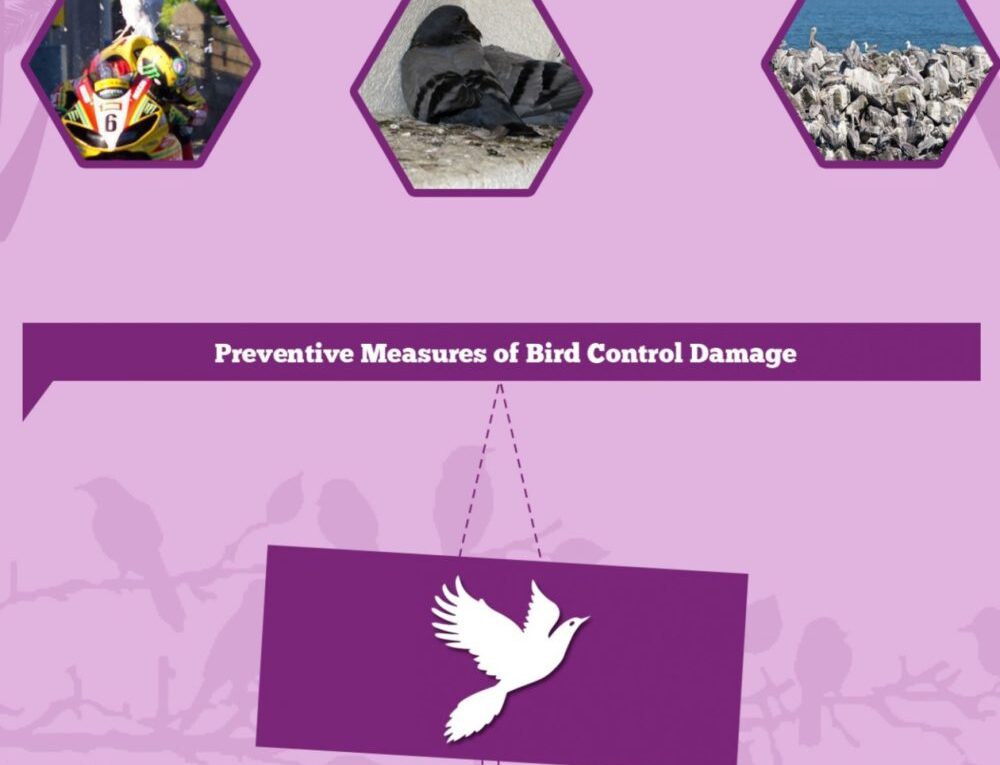 Bird Problem and their Control Measures