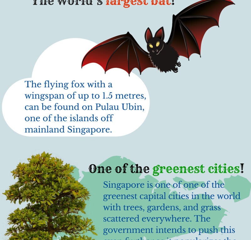 Awesome Things That You Didn’t Know About Singapore