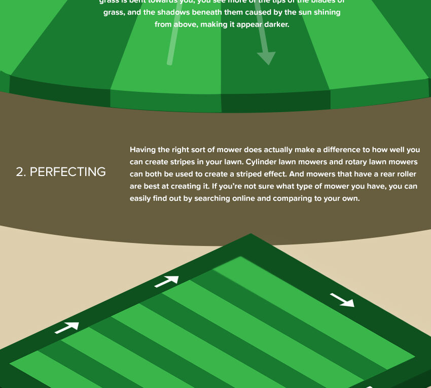 Get The Perfect Lawn