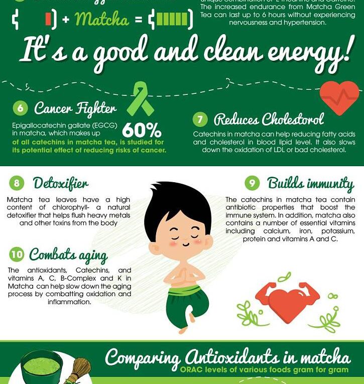 Matcha Green Tea Health Benefits Infographic