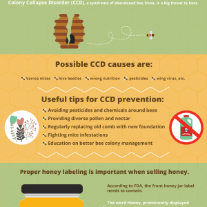 Beekeeping and Honey Labeling 101