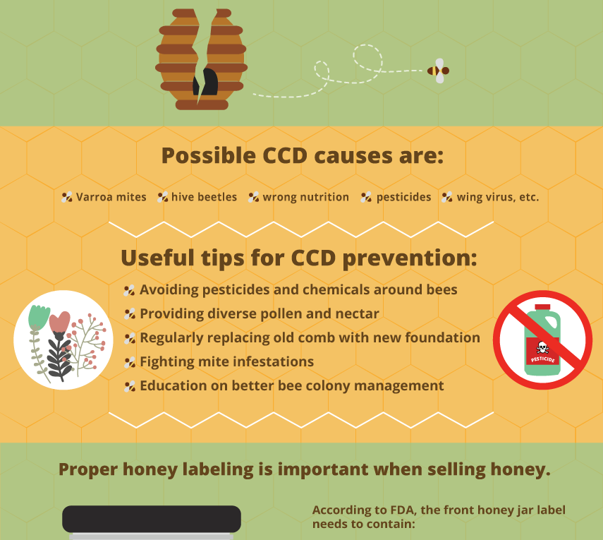 Beekeeping and Honey Labeling 101