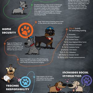 The 38 Benefits of Owning a Dog