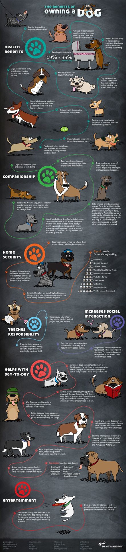 The 38 Benefits of Owning a Dog