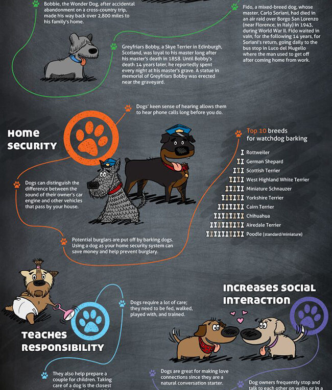 The 38 Benefits of Owning a Dog