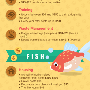 How Do Pet Costs Compare?