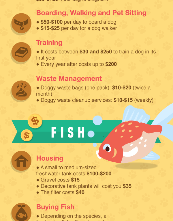 How Do Pet Costs Compare?