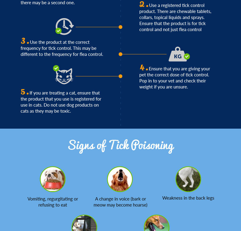 Tick Paralysis in Dogs and Cats