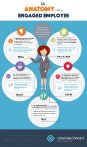 The Anatomy of the Engaged Employee