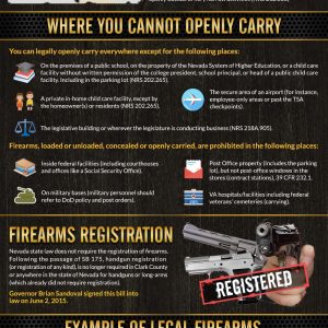Nevada Gun Laws & Gun Ownership By State