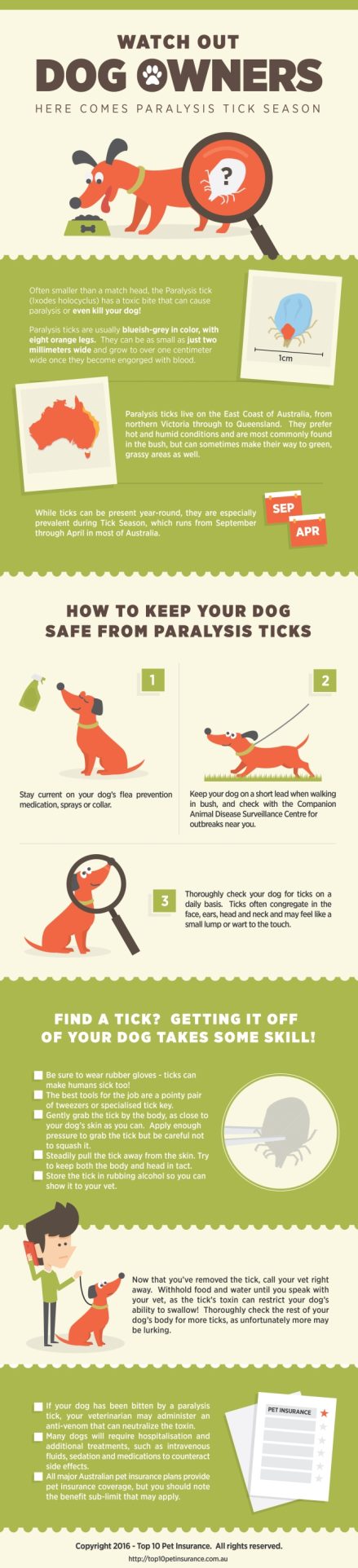 Keep Your Dog Safe from Paralysis Ticks