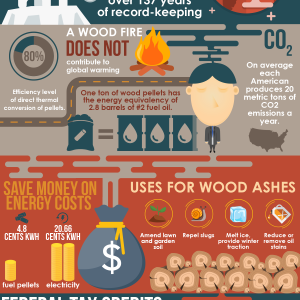 Stop Global Warming and Save Money with Biomass Stoves