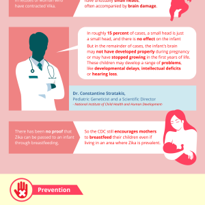 The Zika Virus and Pregnancy