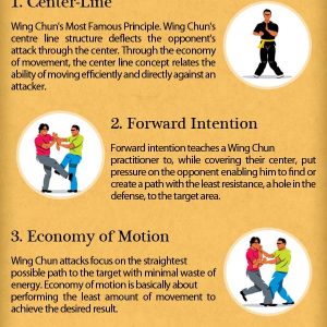 5 Basic Principles of Wing Chun