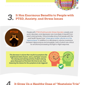 7 Things about Adult Coloring Books that Will Surprise You