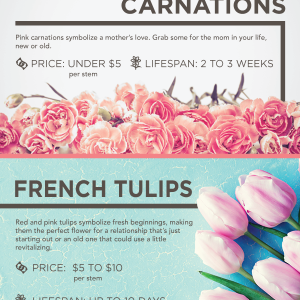 The Best Flowers to Buy for Valentine’s Day